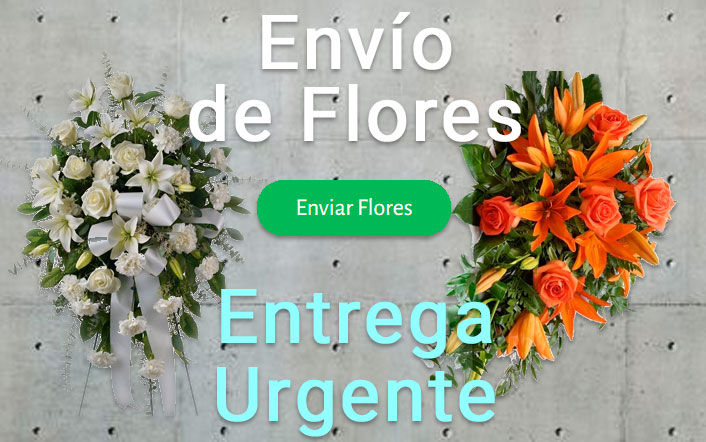 Envío de Centros Funerarios urgente a los tanatorios, funerarias o iglesias de Vitoria-Gasteiz